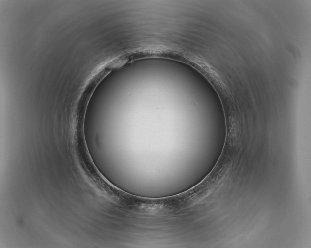 X0000110860440200906181144