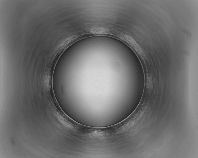 X0000110860441200906181144