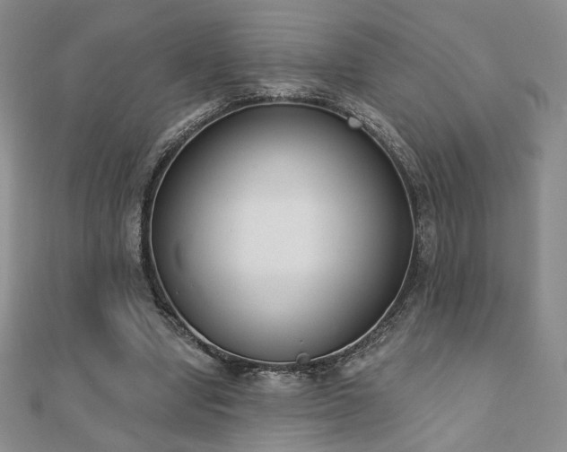 X0000110860442200906181144
