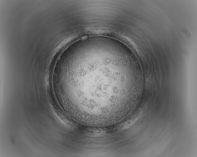 X0000110860443200906181144