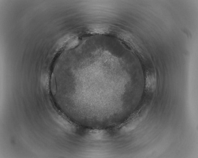 X0000110860444200906181144