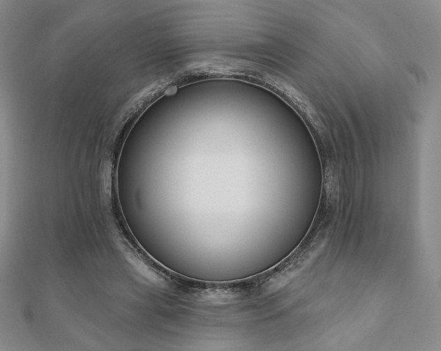 X0000110860445200906181144