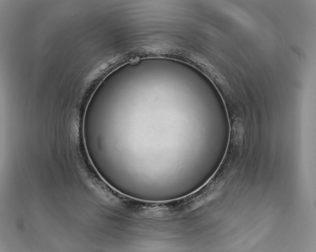 X0000110860446200906181144