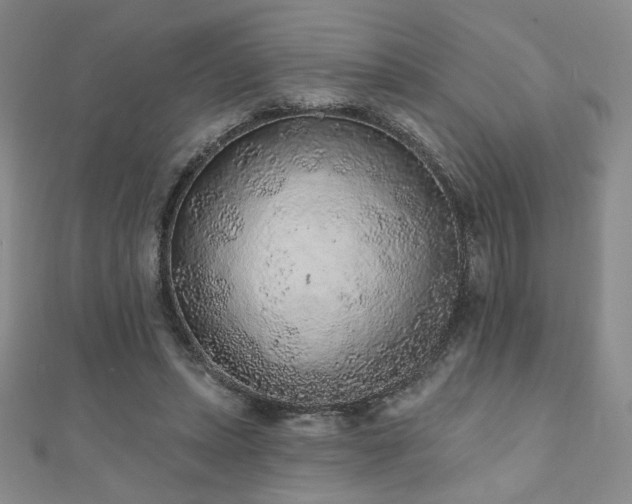 X0000110860447200906181144