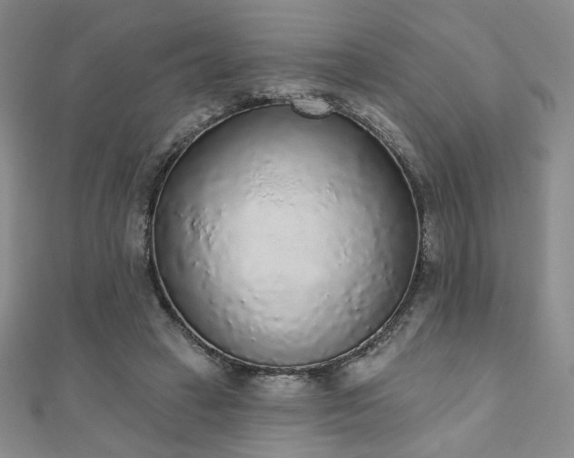 X0000110860449200906181144
