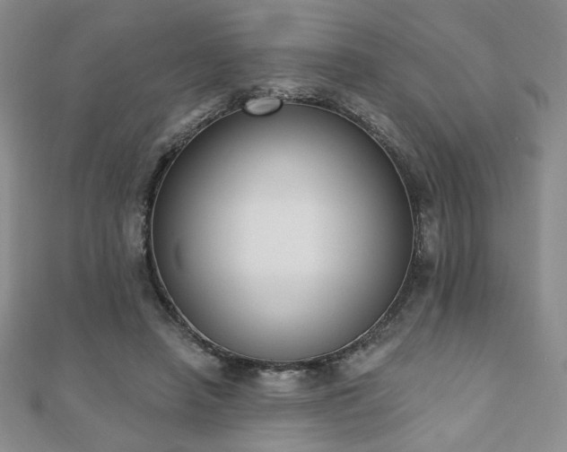 X0000110860450200906181144