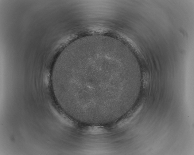 X0000110860451200906181144