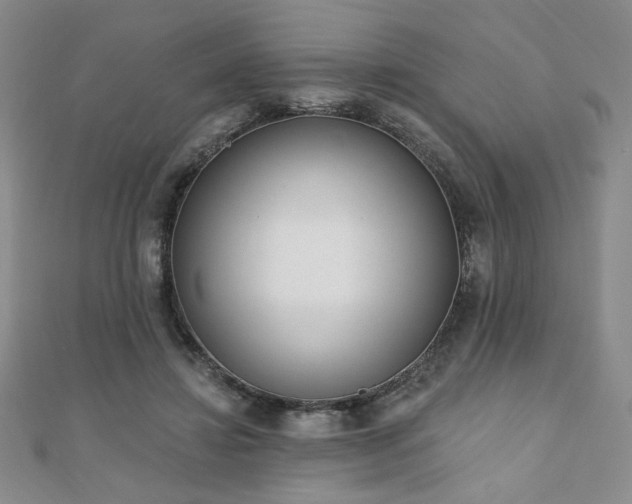 X0000110860452200906181144