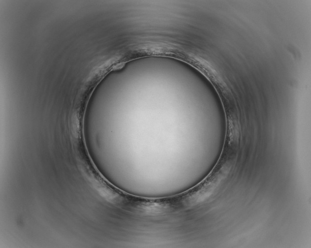 X0000110860453200906181144