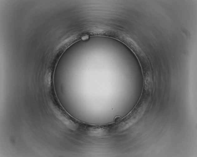 X0000110860454200906181144