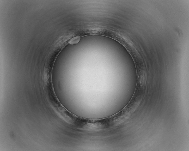 X0000110860455200906181144