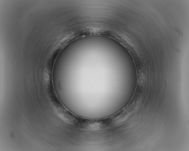 X0000110860456200906181144
