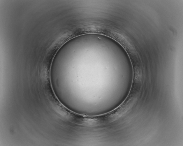 X0000110860457200906181144