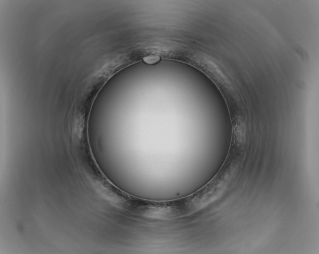 X0000110860458200906181144