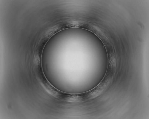 X0000110860459200906181145