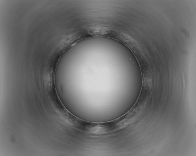 X0000110860460200906181145
