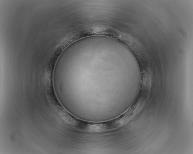 X0000110860461200906181145