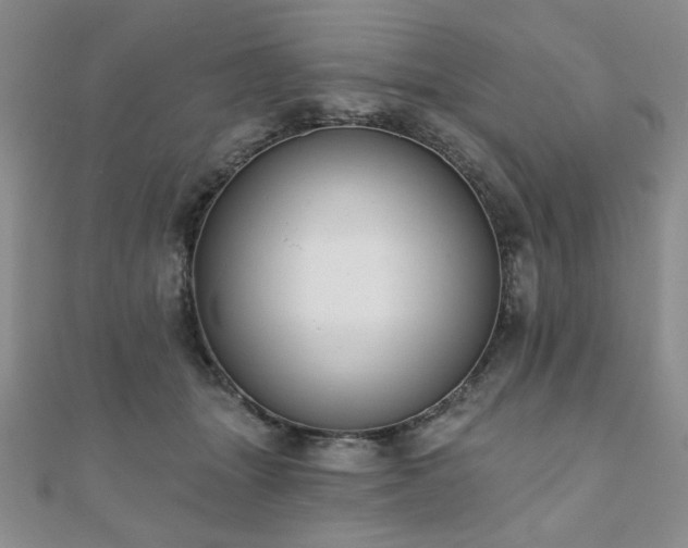 X0000110860463200906181145