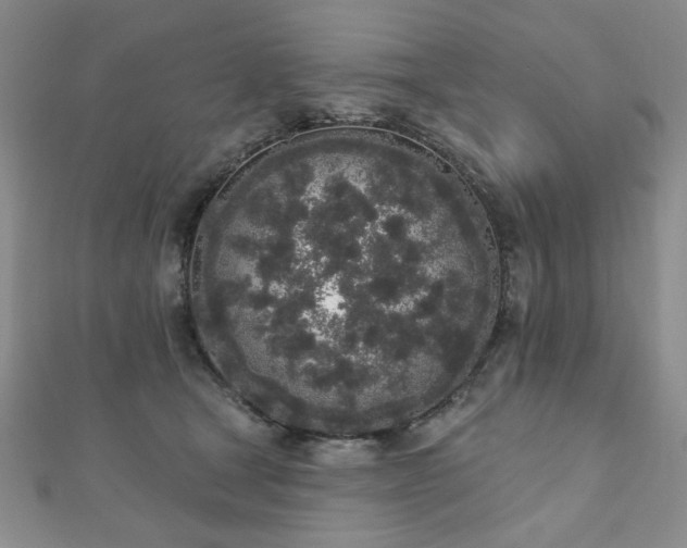 X0000110860465200906181145