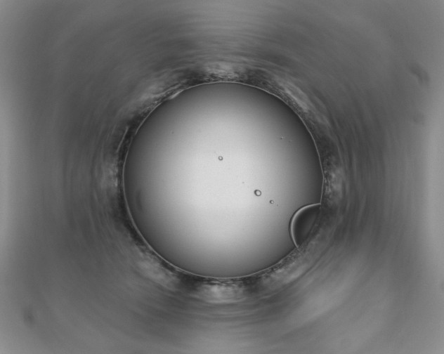 X0000110860466200906181145