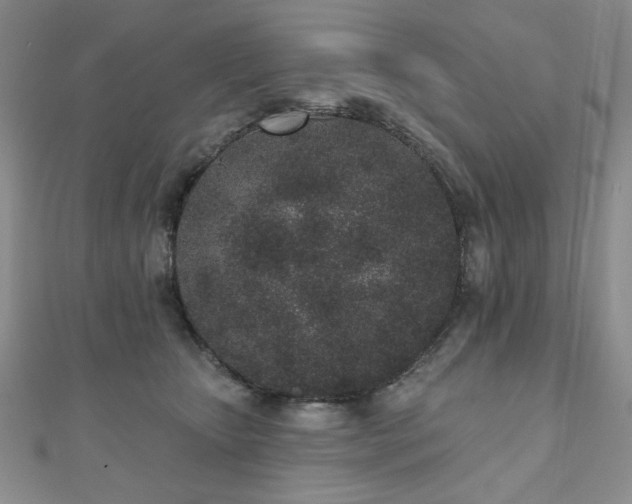 X0000110860467200906181145