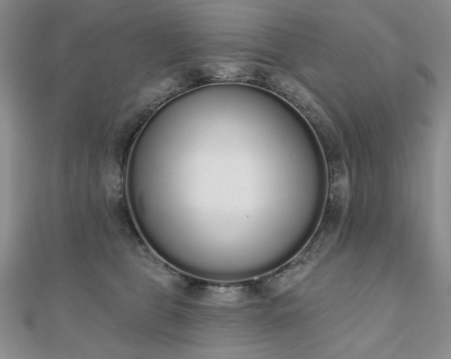 X0000110860469200906181145