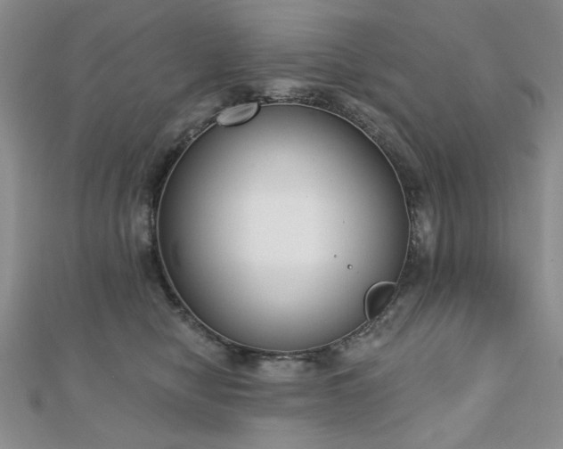 X0000110860470200906181145