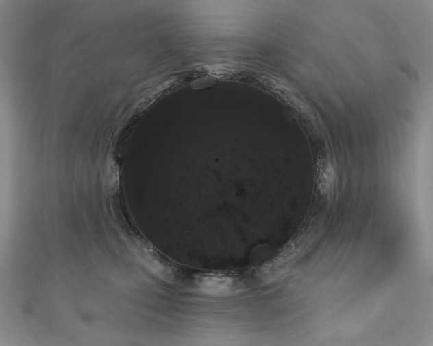X0000110860471200906181145