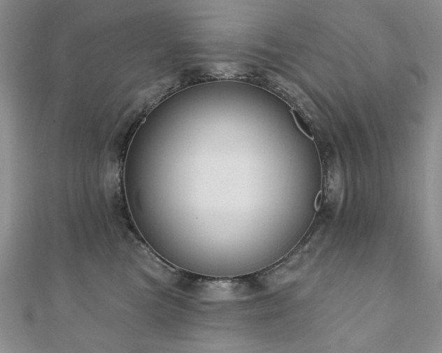 X0000110860473200906181145