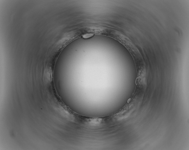 X0000110860474200906181145