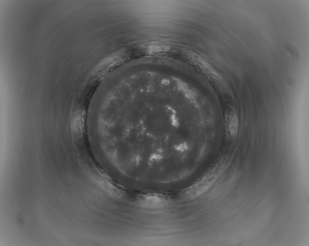 X0000110860475200906181145