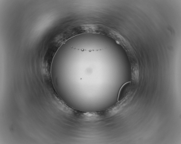 X0000110860477200906181145