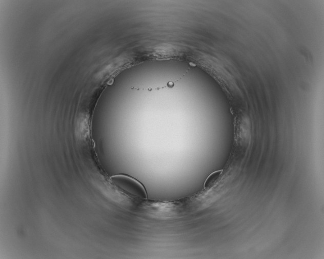 X0000110860478200906181145