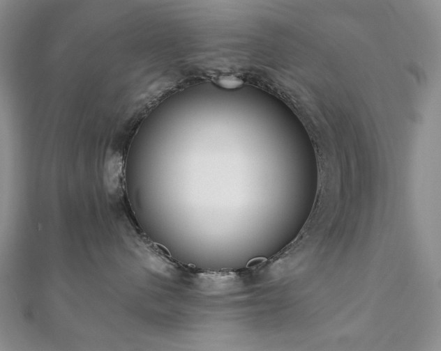 X0000110860480200906181145