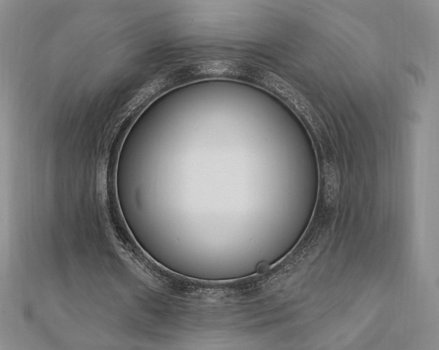 X0000110860482200906181144