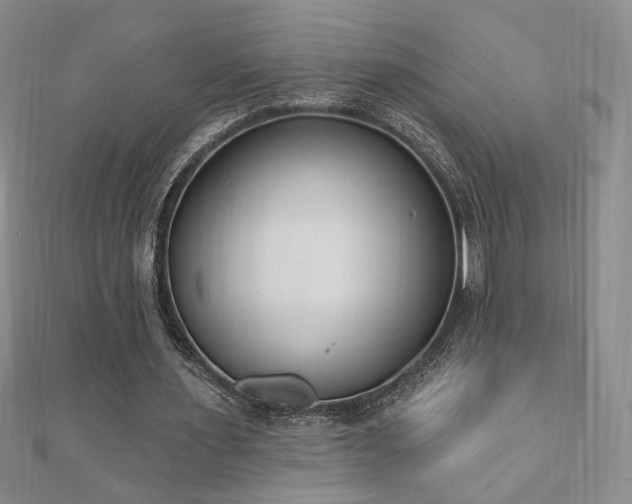 X0000110860483200906181144