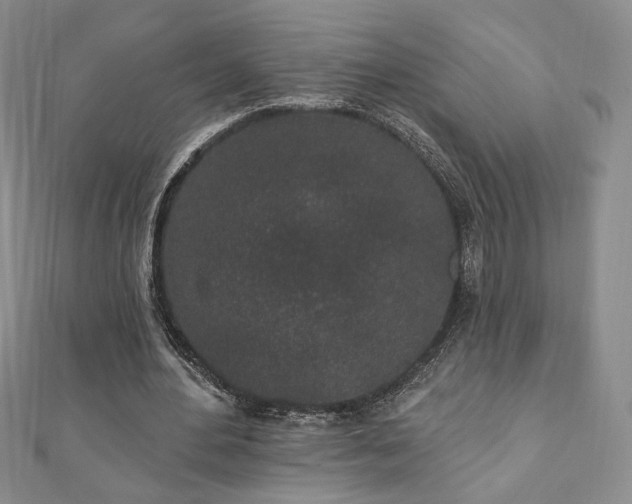 X0000110860484200906181144