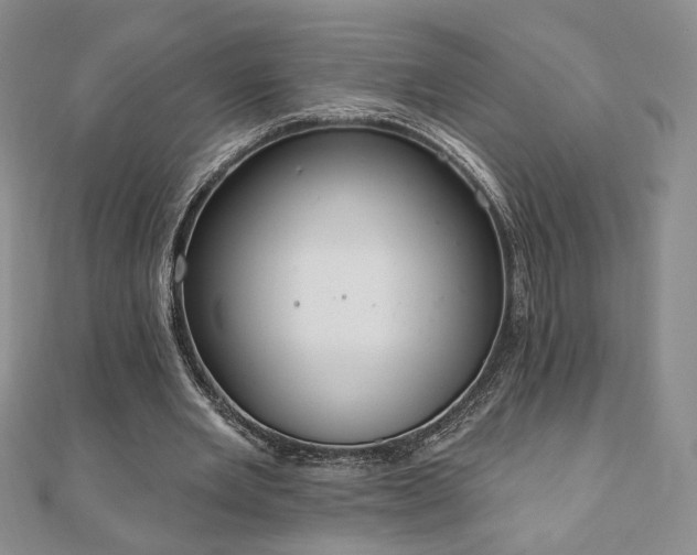 X0000110860485200906181144