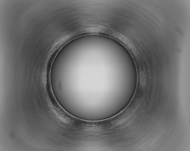 X0000110860486200906181144