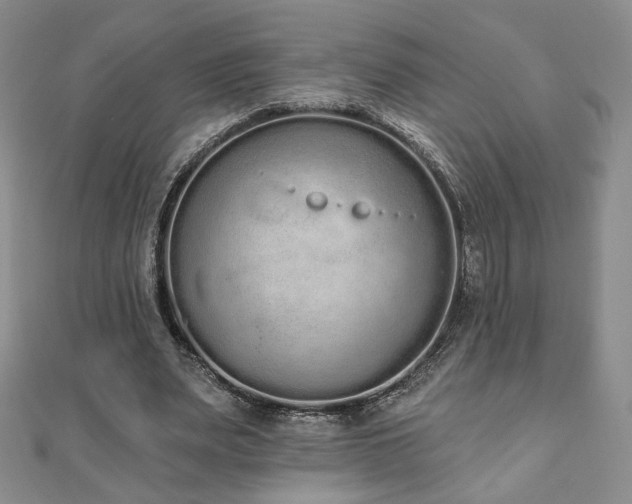 X0000110860487200906181144