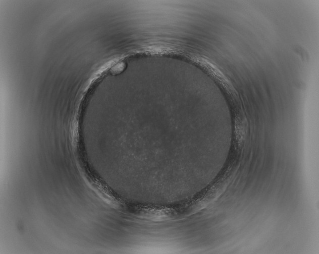 X0000110860488200906181144