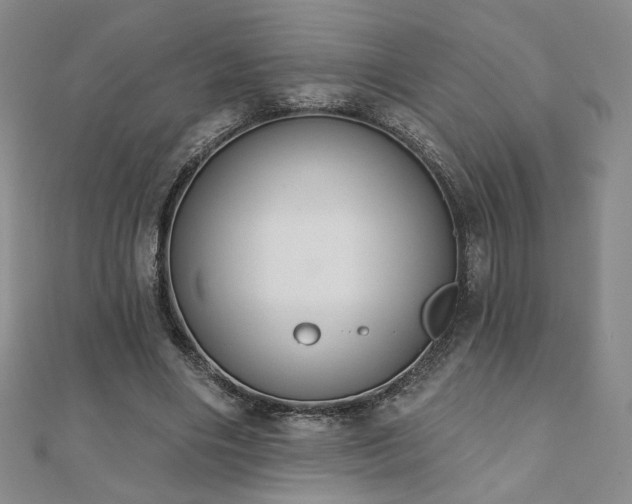 X0000110860490200906181144