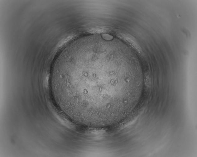 X0000110860491200906181144