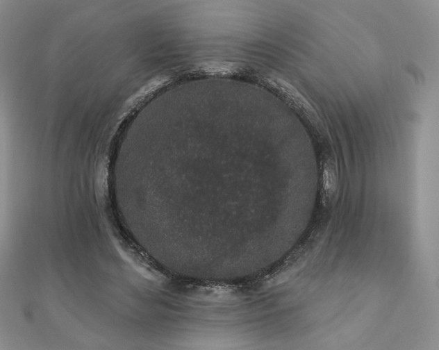 X0000110860492200906181144