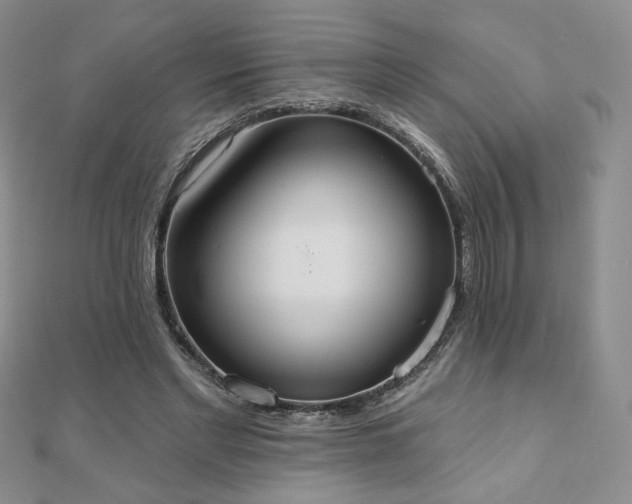 X0000110860493200906181144