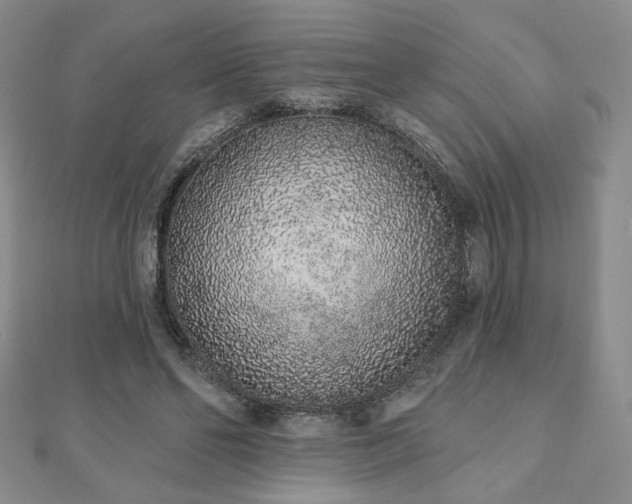 X0000110860494200906181144