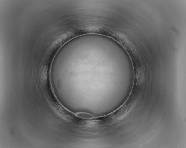 X0000110860495200906181144