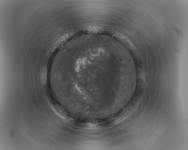 X0000110860496200906181144