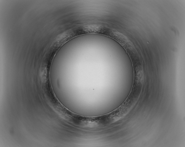 X0000110860498200906181144