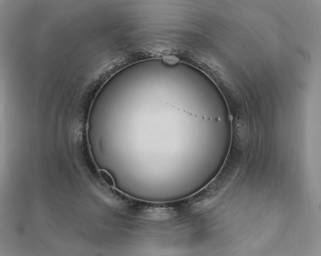 X0000110860499200906181144